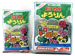 �a�l�悤���