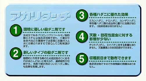 �A�J���^�b�`�̗��_