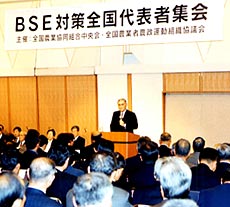 BSE�΍��S����\�ҏW��