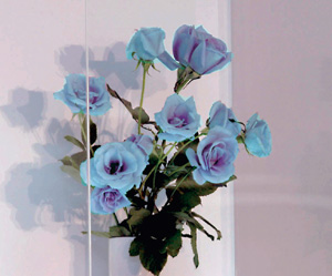 ���E���́u���o���v�E�T���g���[�i���j