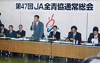 �i�`�S���ʏ푍��