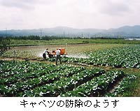 �L���x�c�̖h���̂悤��