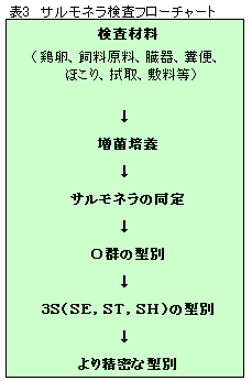 �\3�@�T�����l�������t���[�`���[�g