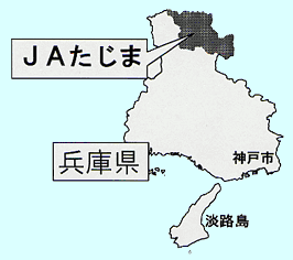�����܁A�ʒu