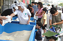 盛況な「お米のすくい取り」イベント
