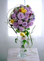 �g���R�M�L���E�w���W�[�i�x�V���[�Y�̐V�F�w���x���_�[�x�̃A�����W��