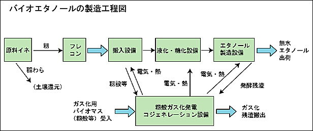 �o�C�I�G�^�m�[���̐����H���}