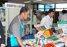 野菜の特徴をアピール
