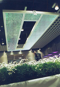 Room1 LED(発光ダイオード)で育てる花類
