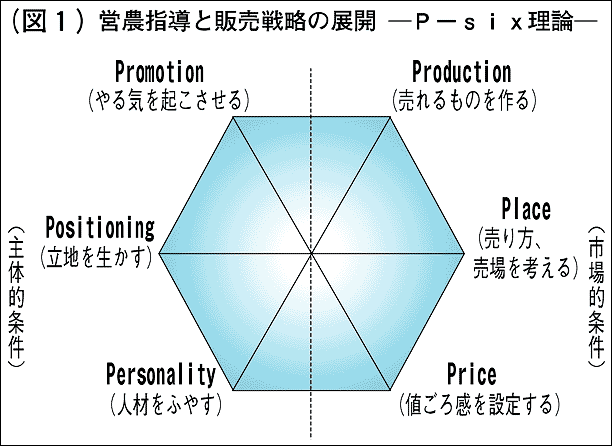 �c�_�w���Ɣ̔��헪�\P�\six���_�\