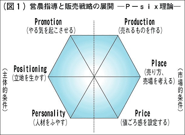 �c�_�w���Ɣ̔��헪�̓W�J�|P�\six���_�|