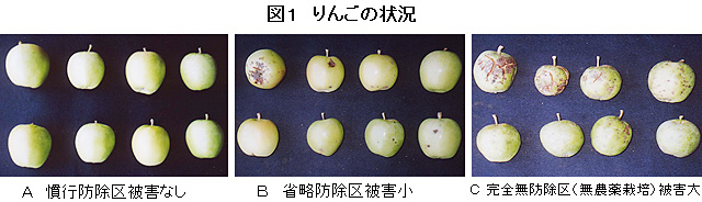 �}�P