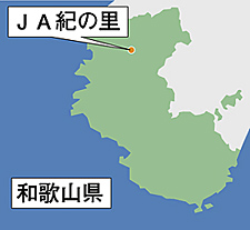 �i�`�I�̗�