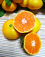 �݂���A