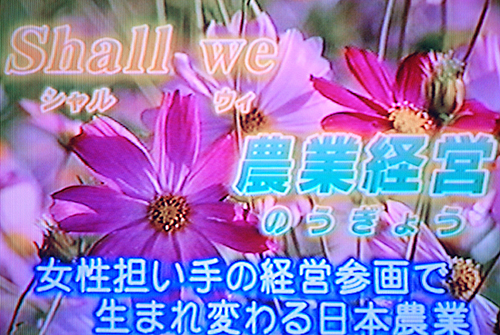 shall-we�_�ƌo�c