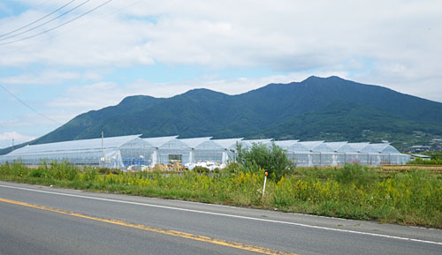 農業法人の全国展開に向けて