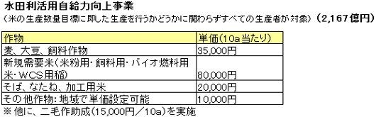 水田利活用自給力向上事業