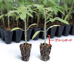 トラクタ「ＴＪＷセミクローラ」シリーズ