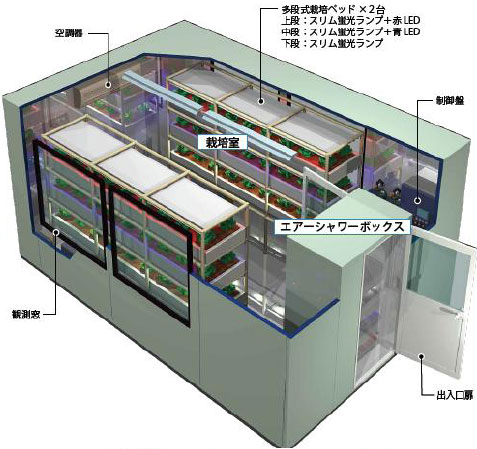 展示用植物工場イメージ