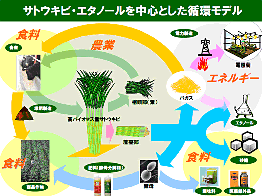 サトウキビ・エタノールを中心とした循環モデル