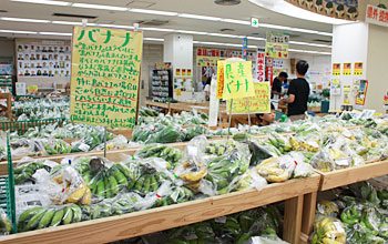 ＦＭ店頭では島バナナなど果樹も豊富だ