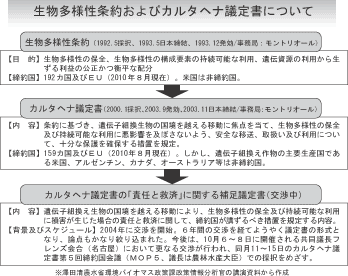 生物多様性条約およびカルタヘナ議定書について