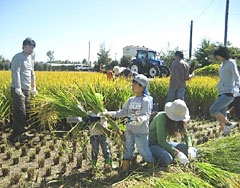 地域住民の過半数が参加する組織へ